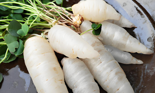 水晶蘿卜的功效作用功能主治是什么，有什么功效作用好處？